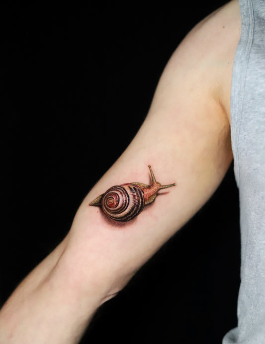 Snail