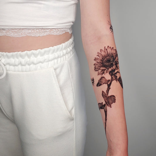 Sunflower and bumblebee