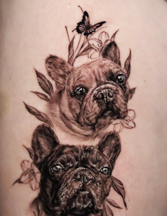 French Bulldogs