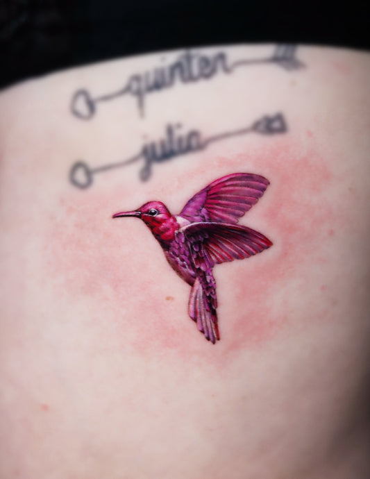 Magenta Hummingbird