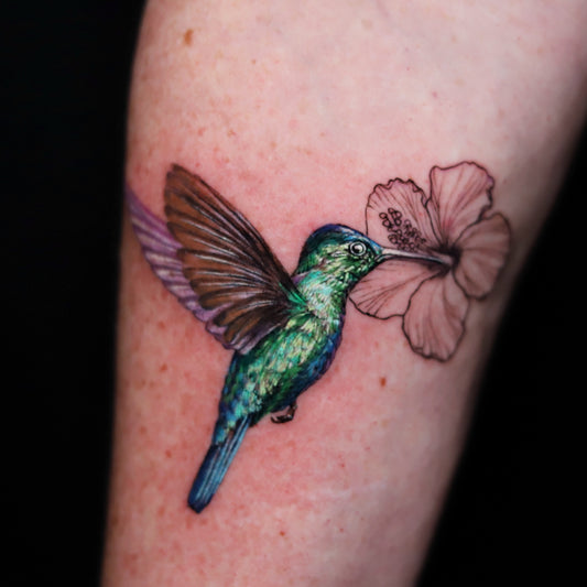 Green hummingbird