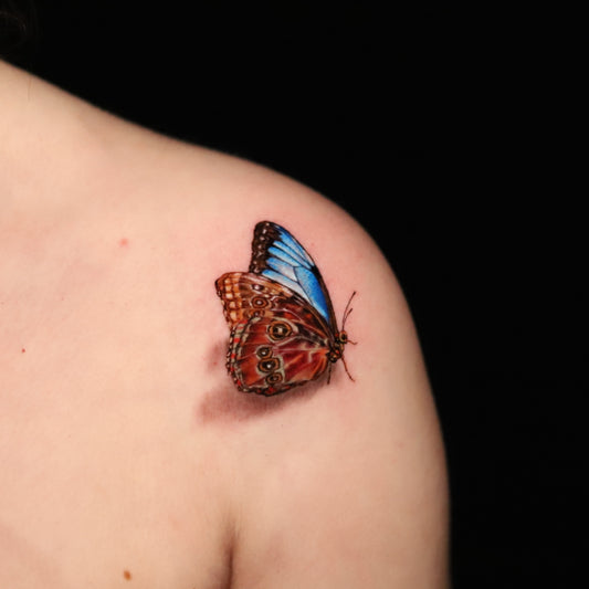 Blue Morpho Butterfly