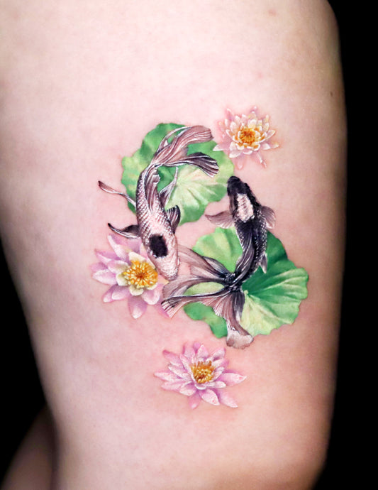 Koi Fish and Water Lily