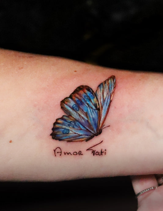 Blue morpho butterfly