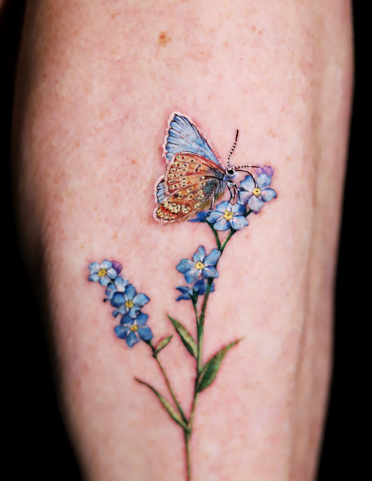 Butterfly on Forget-me-not