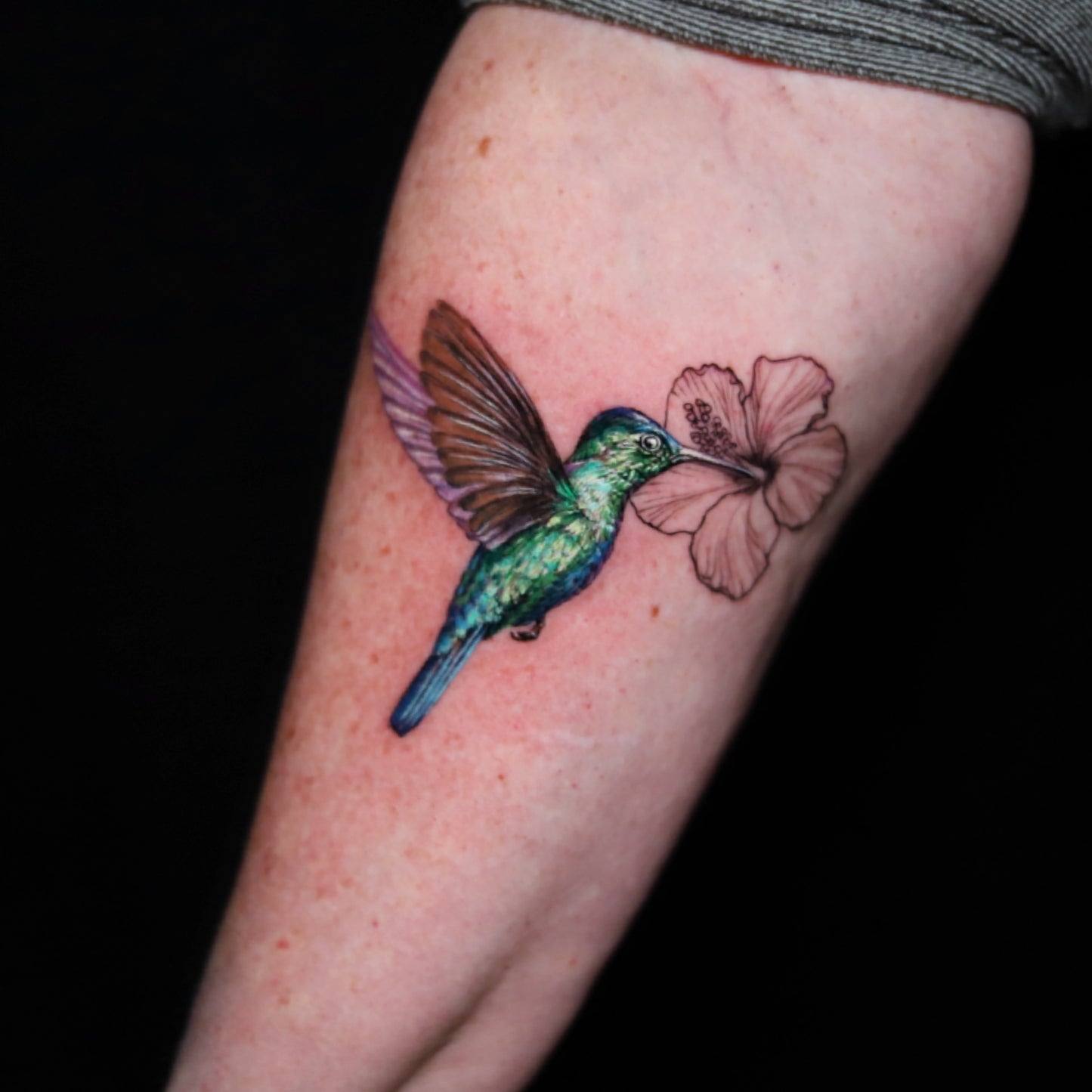 Green hummingbird