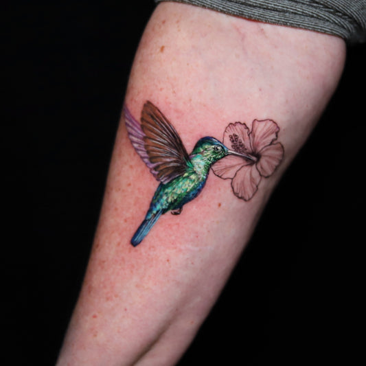 Green hummingbird