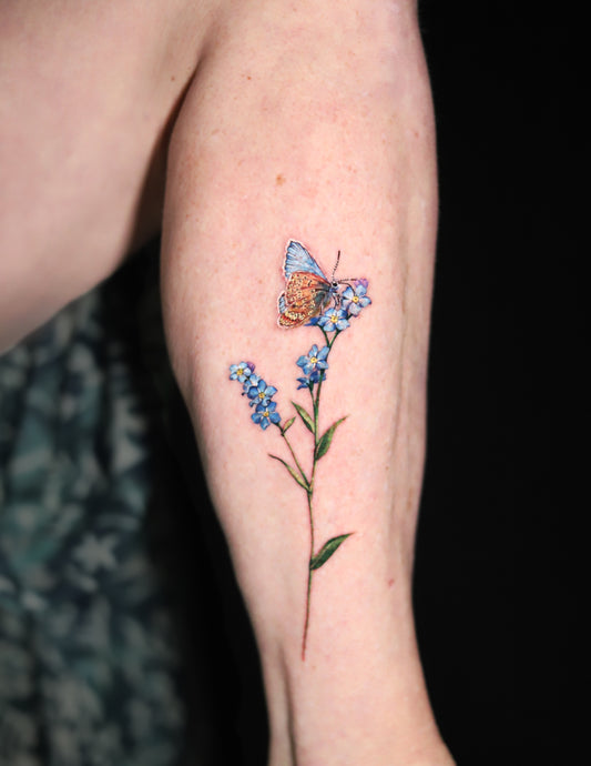 Butterfly on Forget-me-not