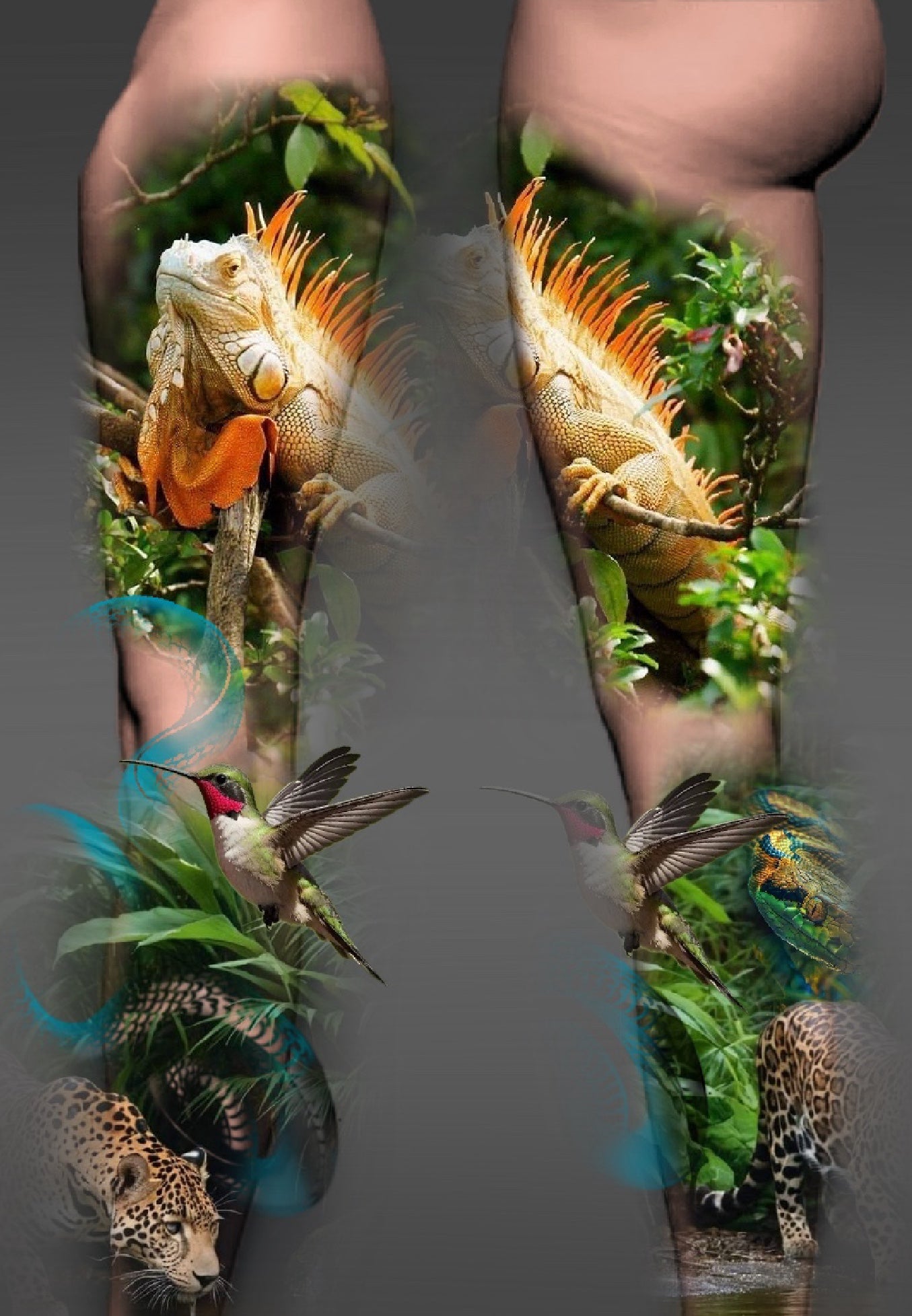 Animals in jungle