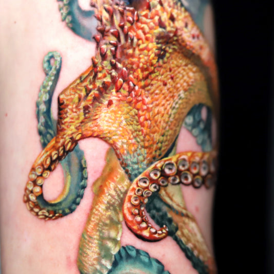 Octopus