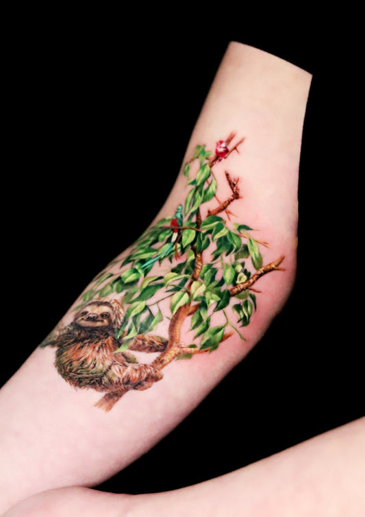 Sloth on Tree