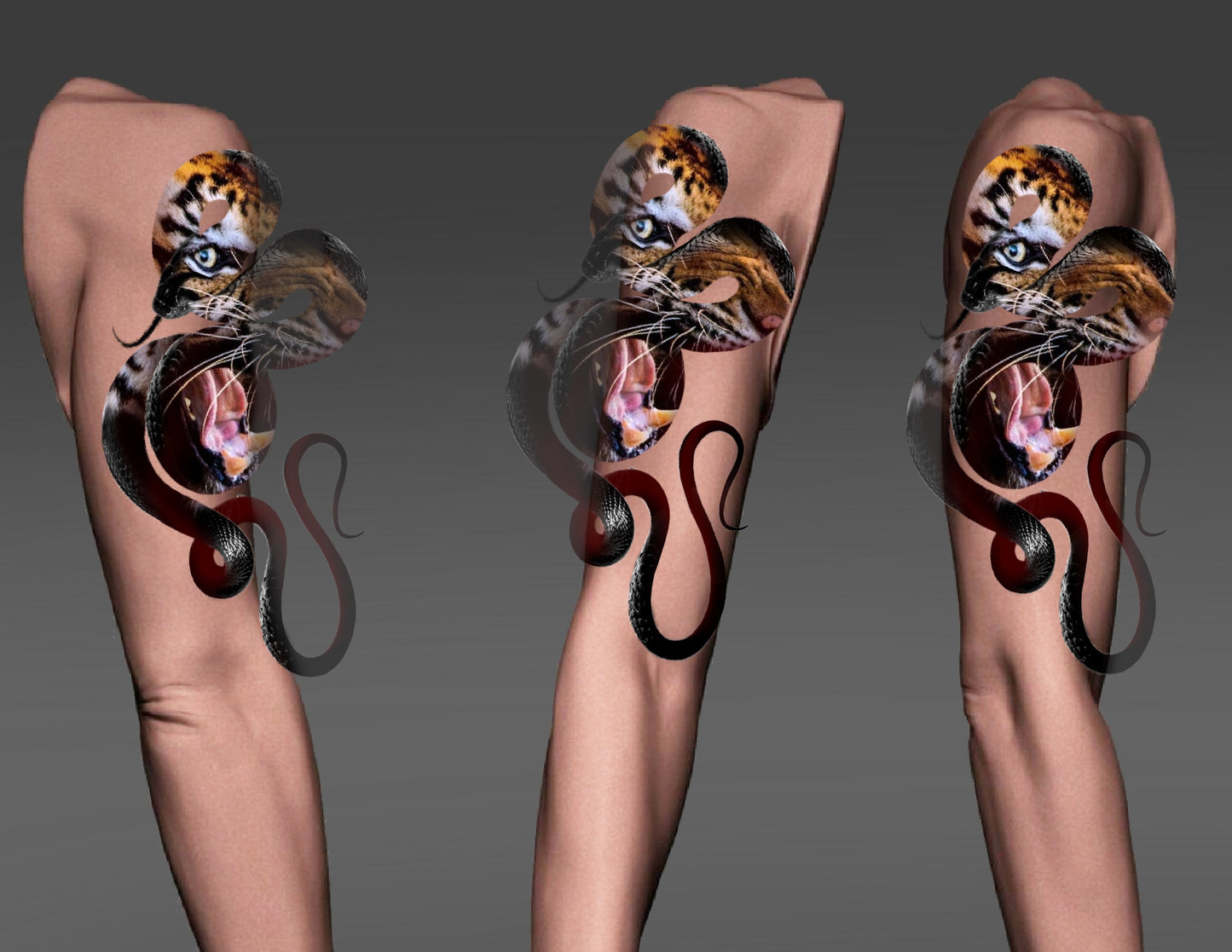 Tiger in snake