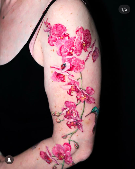 Pink Orchid with a Hummingbird