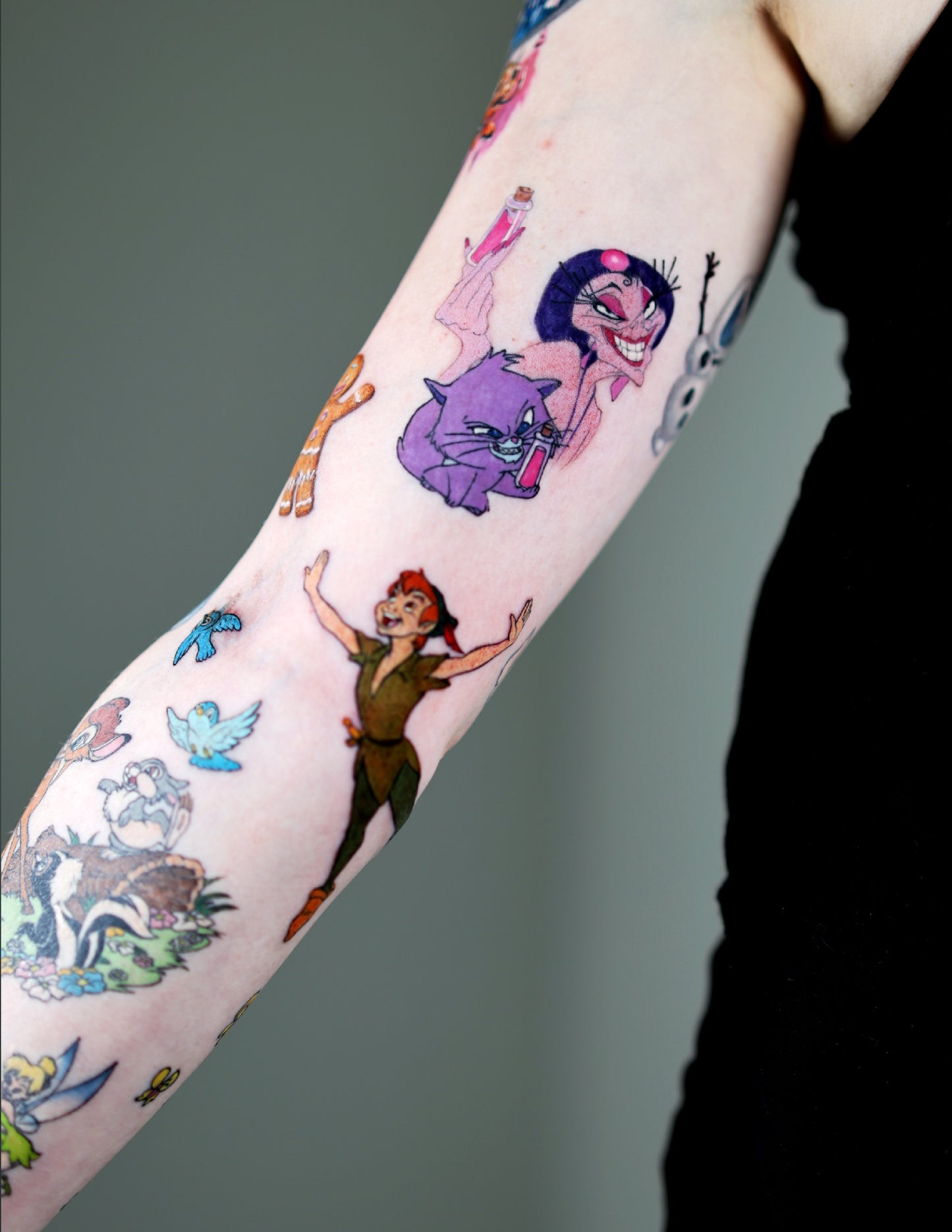 Disney sleeve