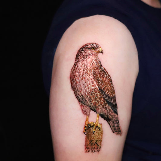 Falcon