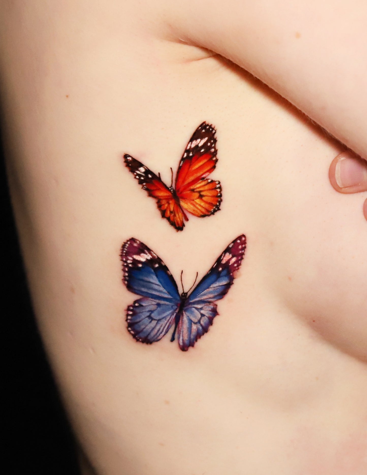 Butterflies
