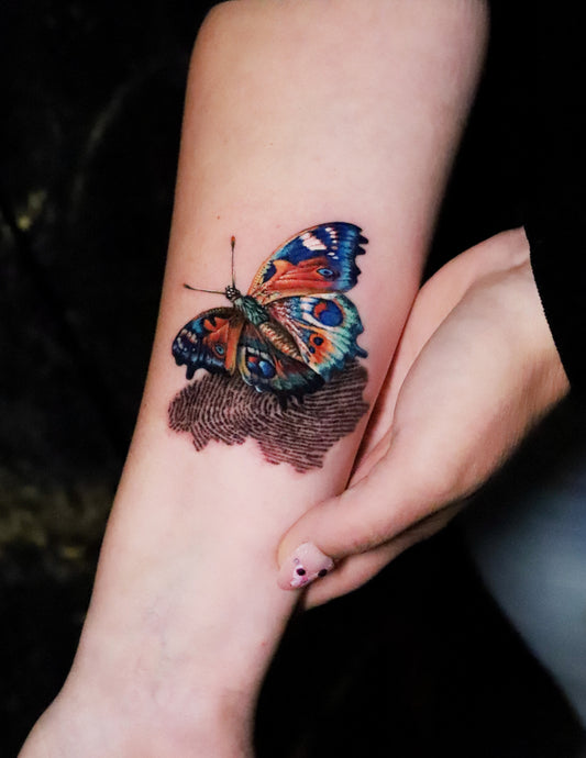 Peacock butterfly