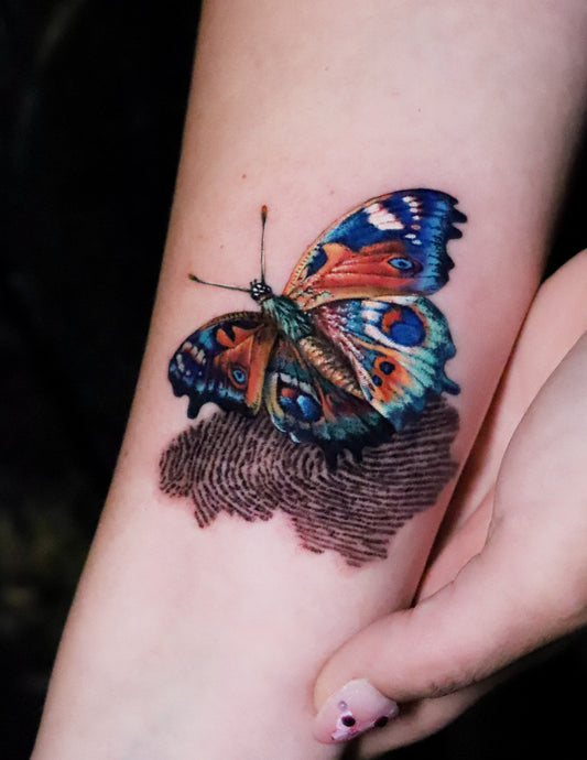 Peacock butterfly