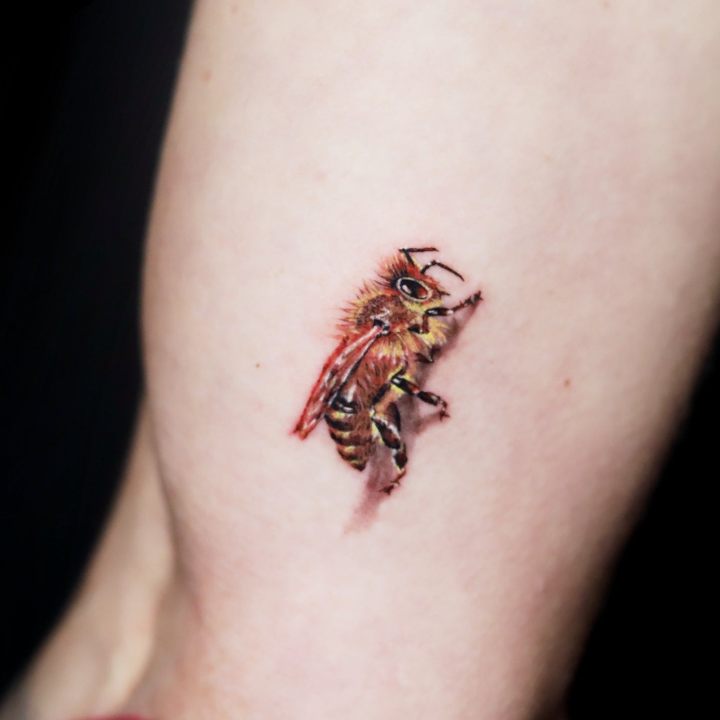 Bee