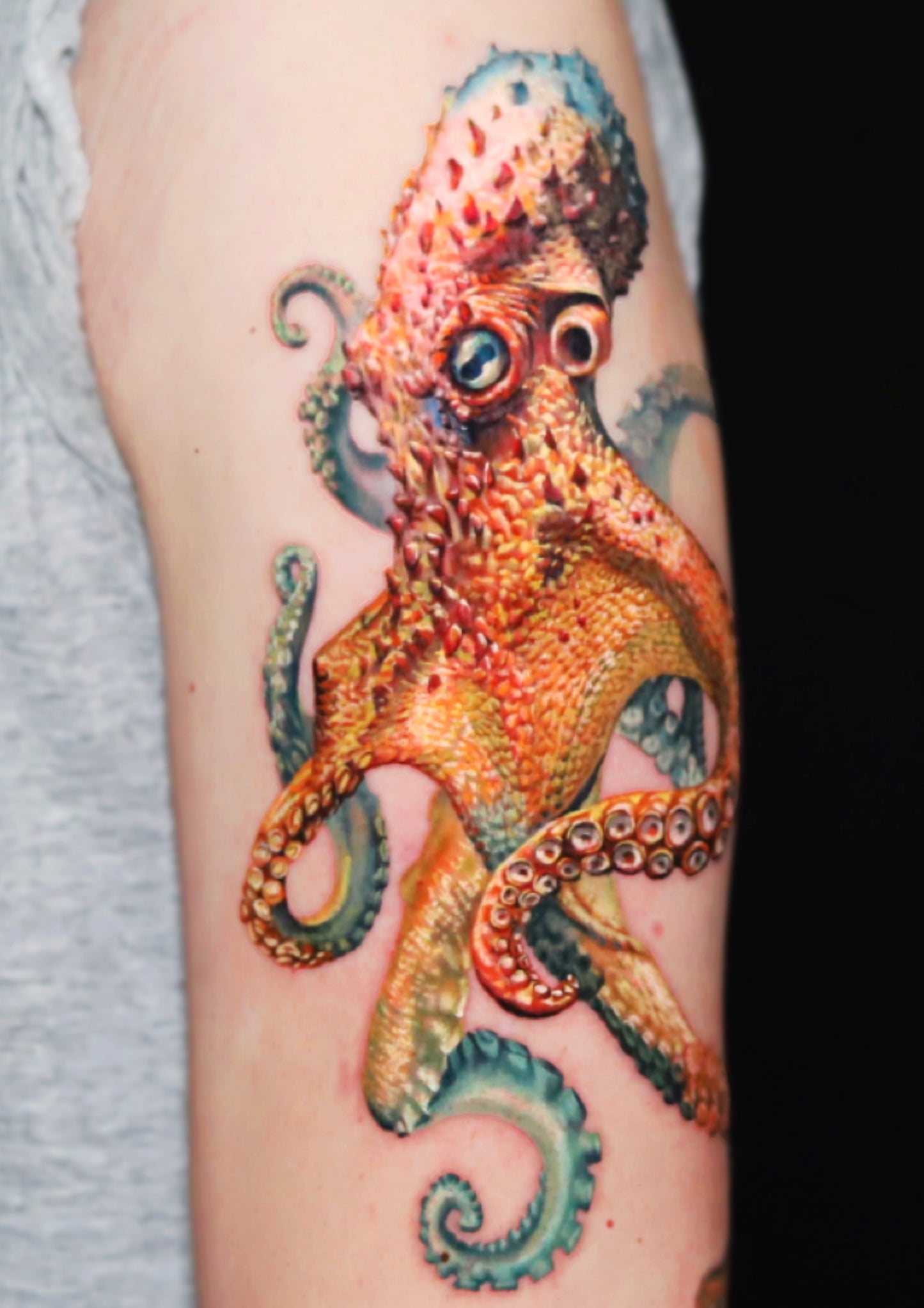 Octopus