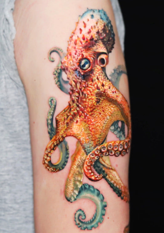 Octopus