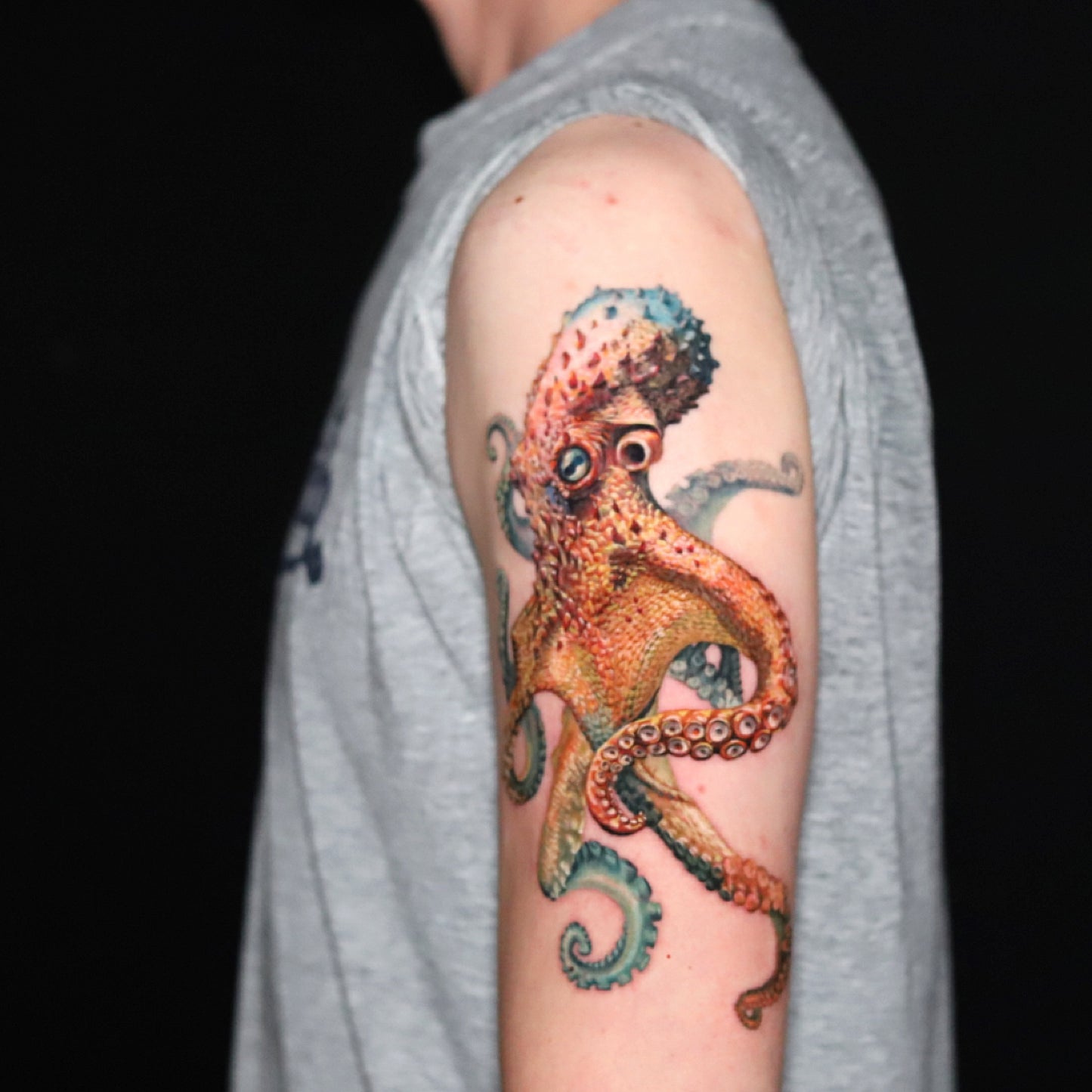 Octopus