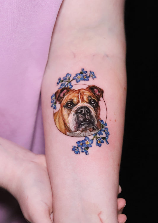 Dog portrait