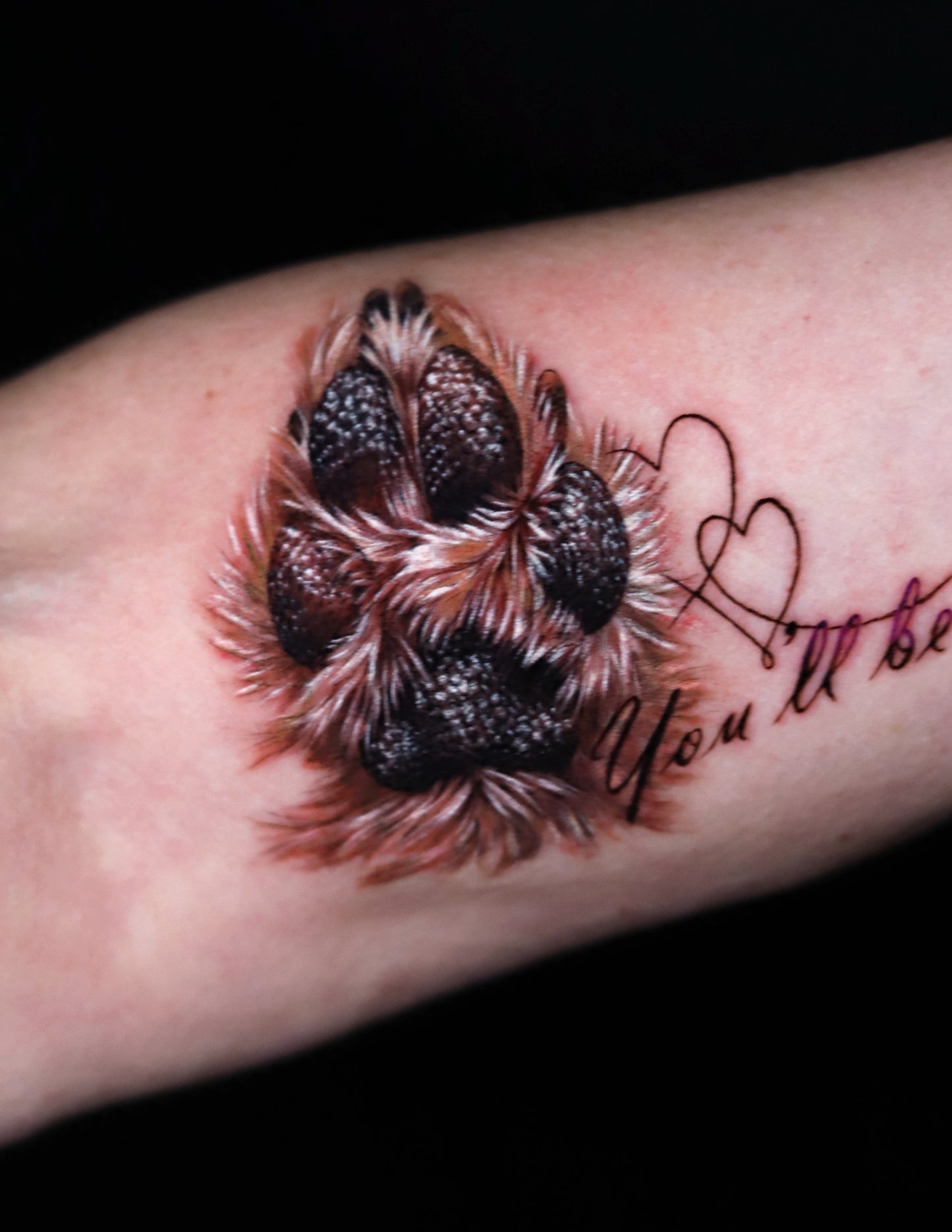 Paw