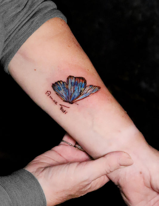 Blue morpho butterfly