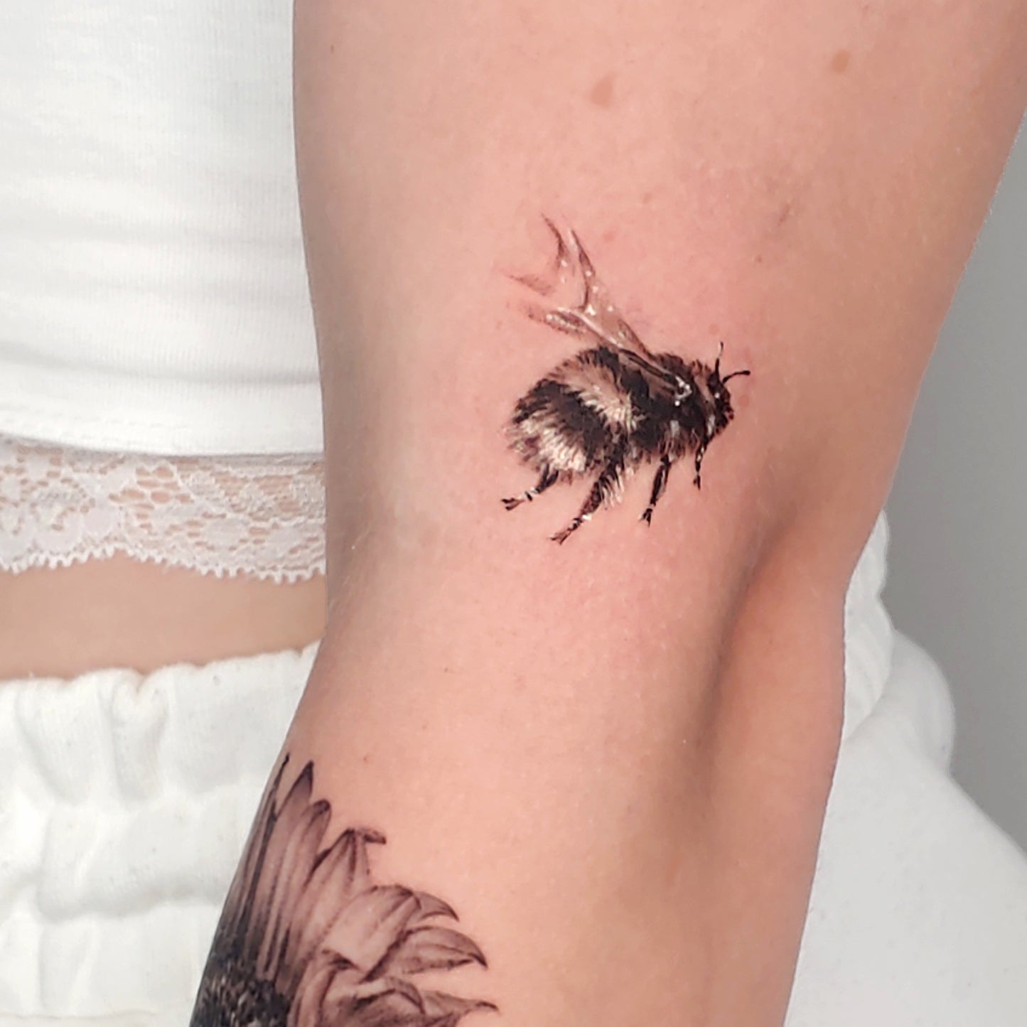 Sunflower and bumblebee