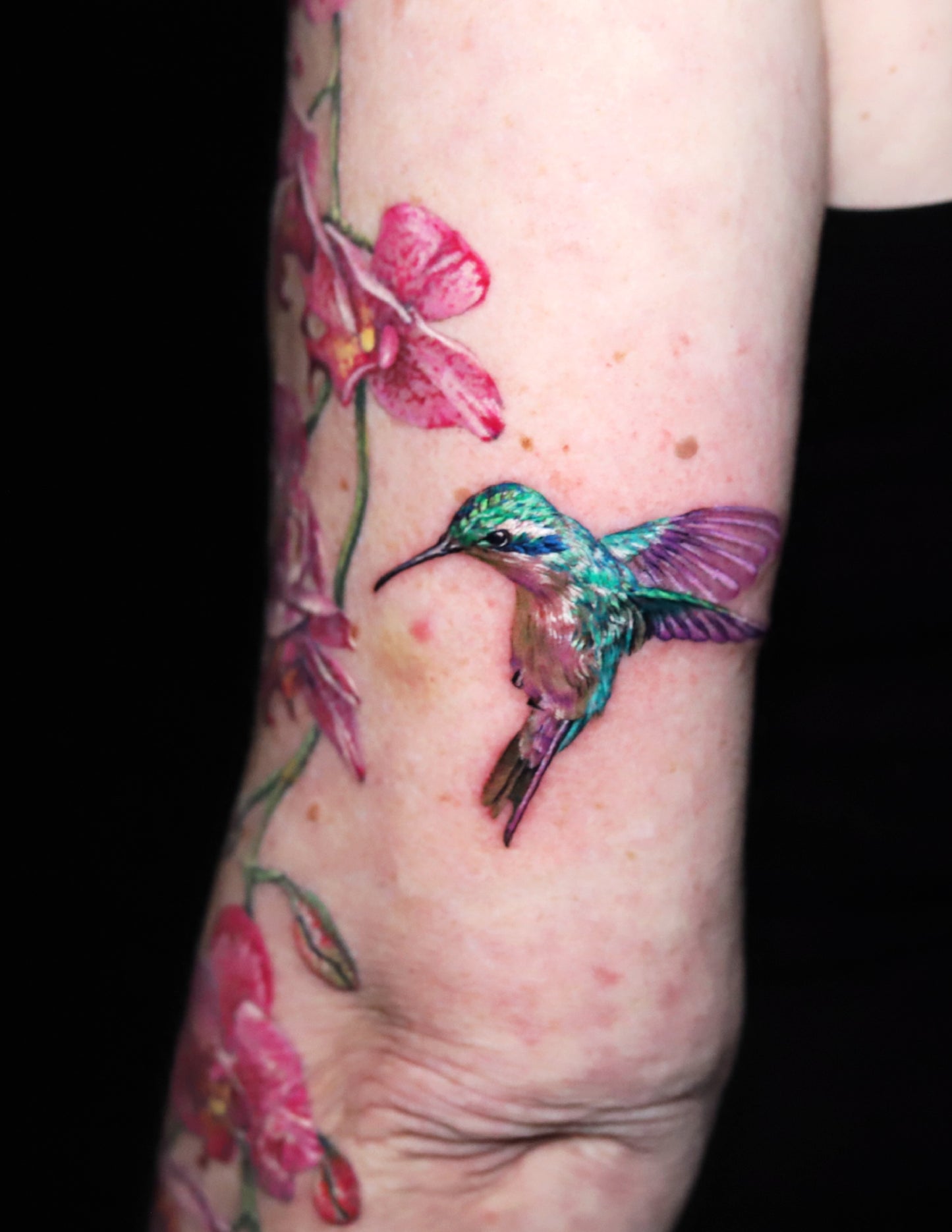 Pink Orchid with a Hummingbird