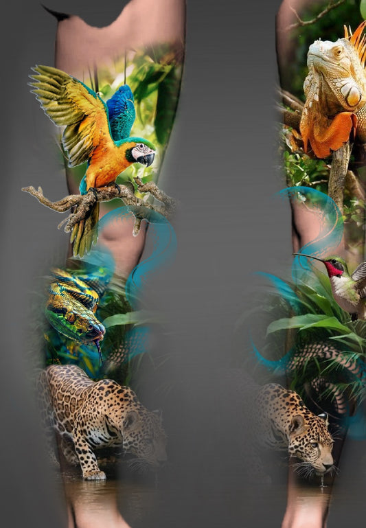 Animals in jungle