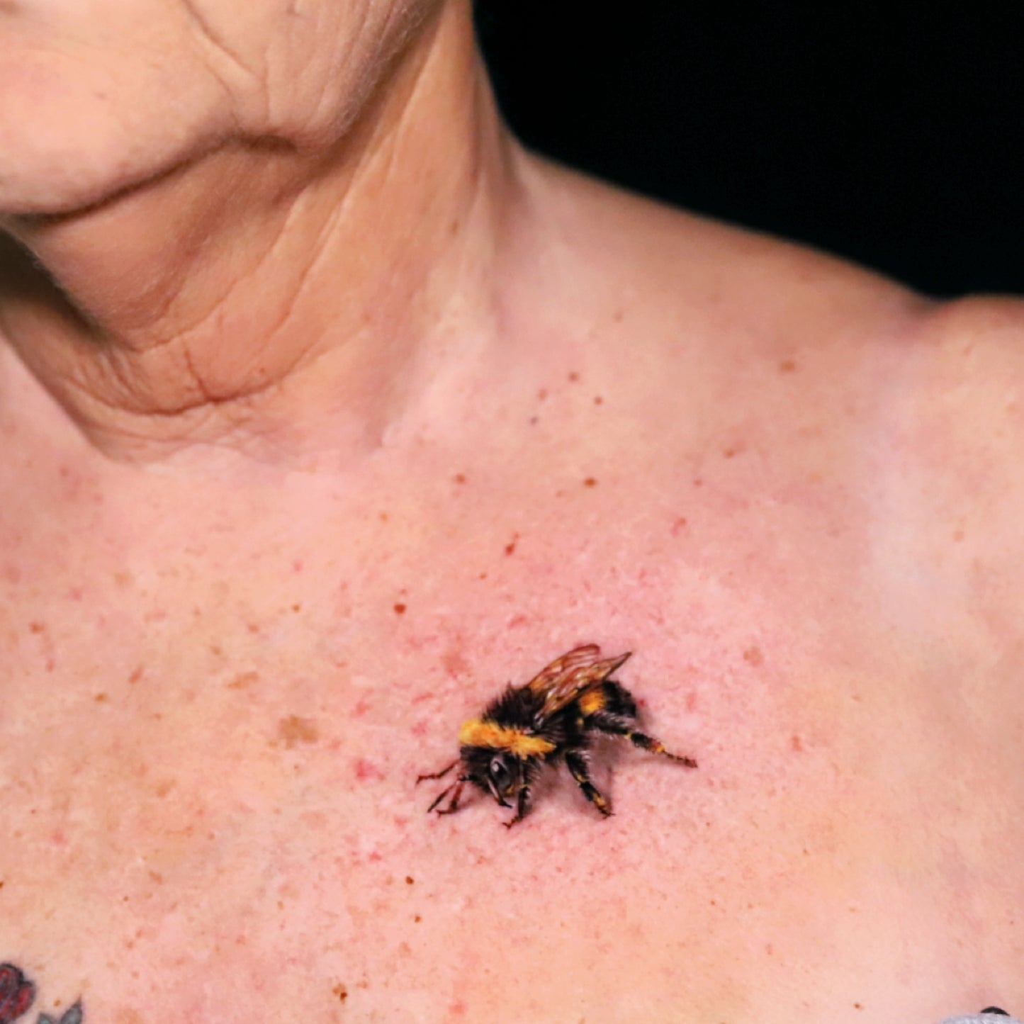 Bee