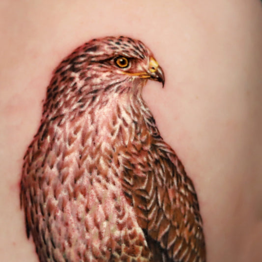 Falcon