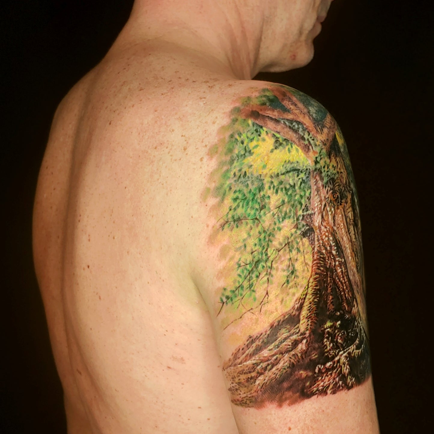 Tree
