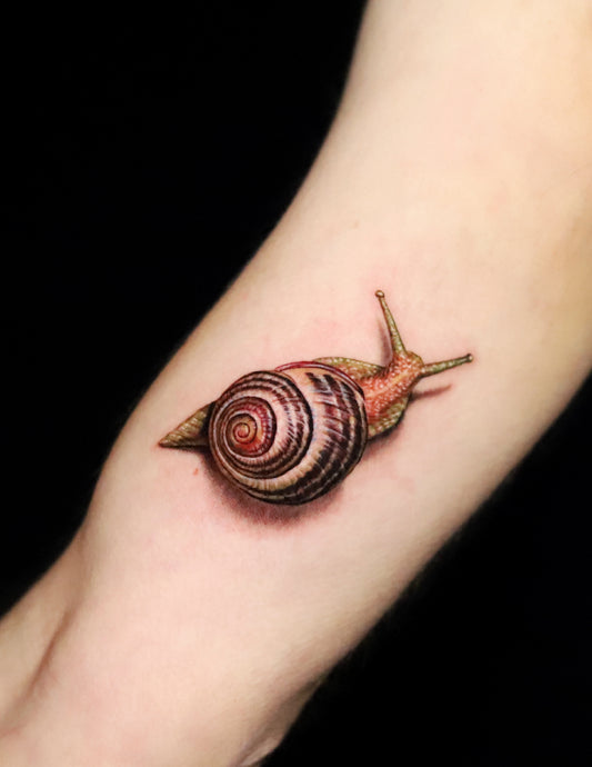 Snail