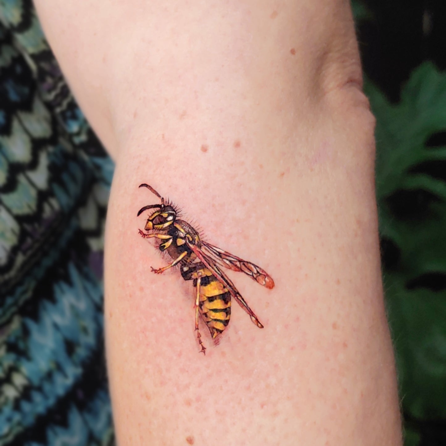 Bee