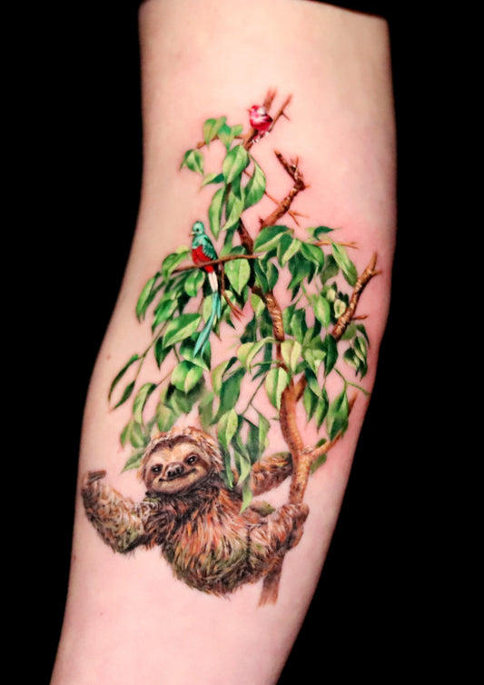 Sloth on Tree