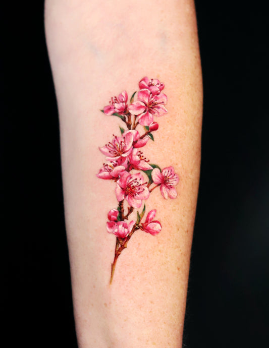 Cherry Blossom