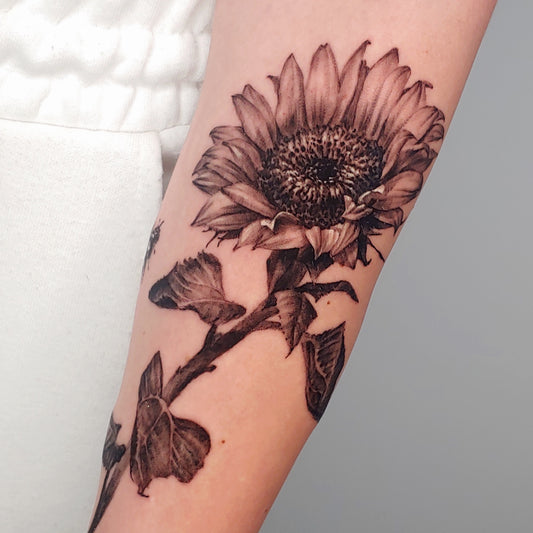 Sunflower and bumblebee
