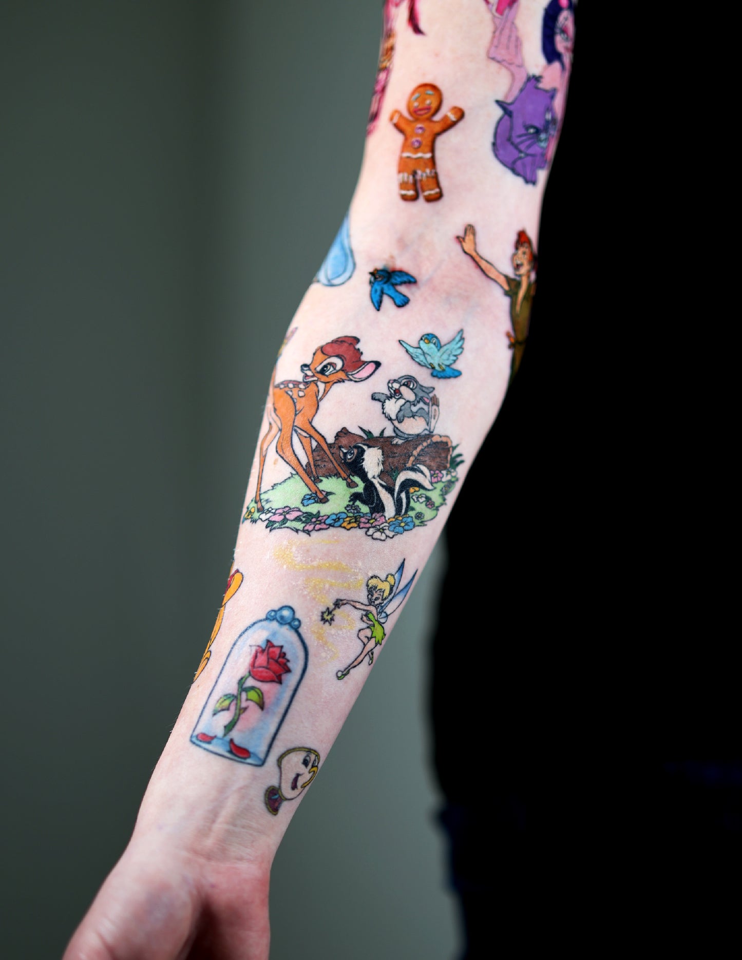 Disney sleeve