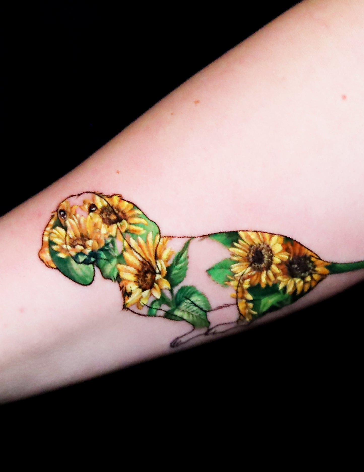 Dog Portrait in Sunflowers