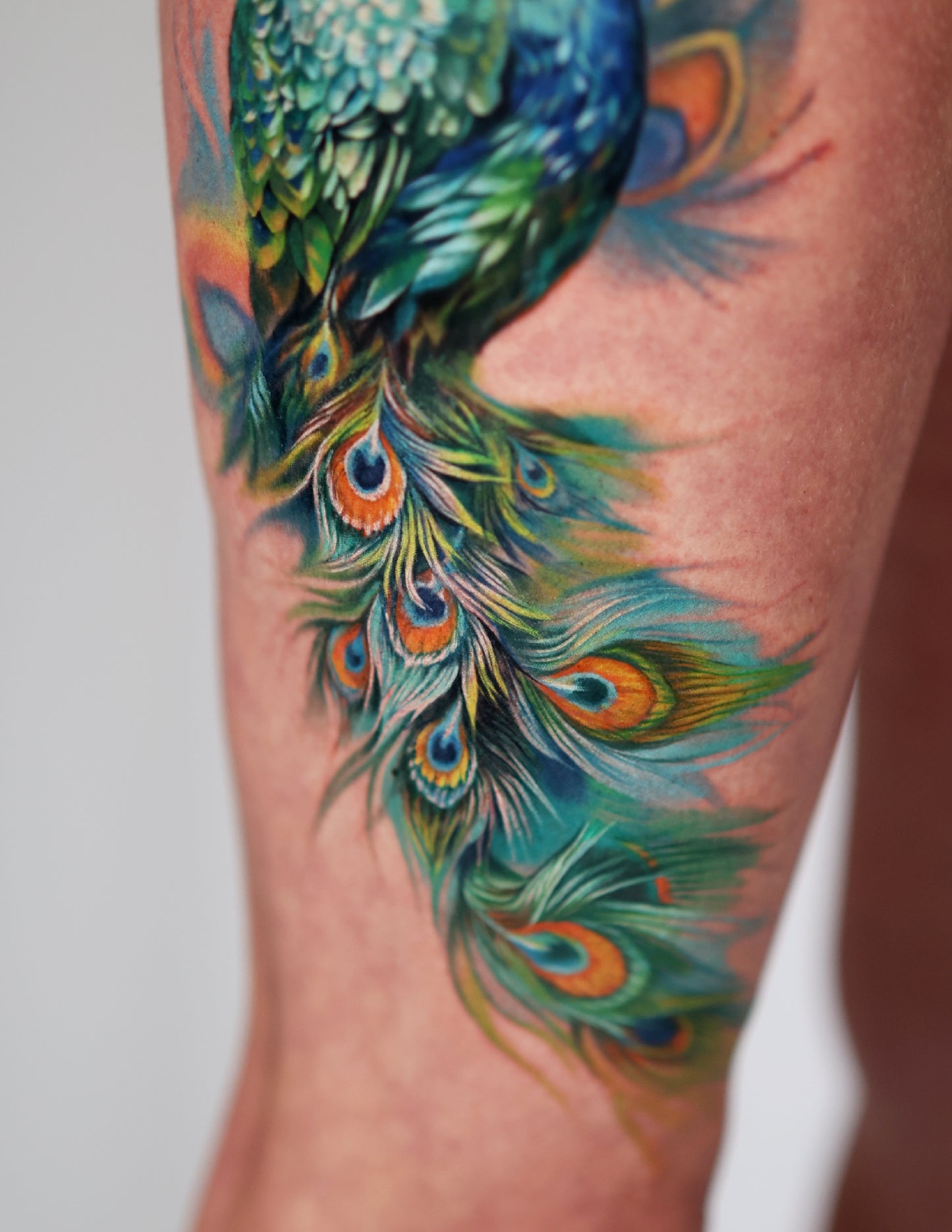 Peacock