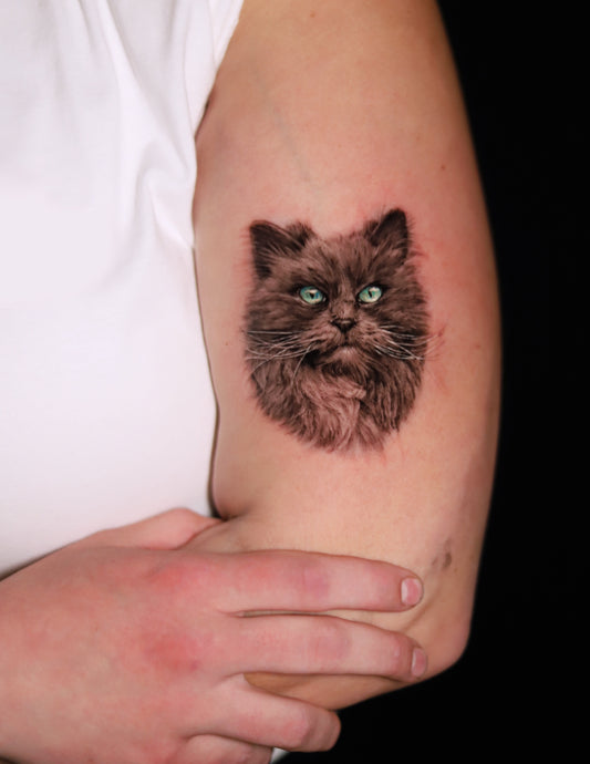 Cat Portrait
