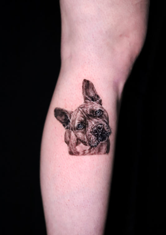 Dog portrait