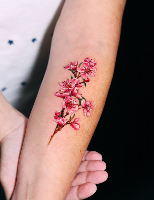 Cherry Blossom