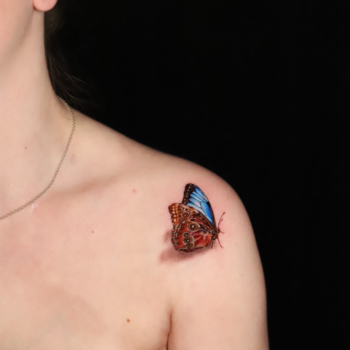 Blue Morpho Butterfly