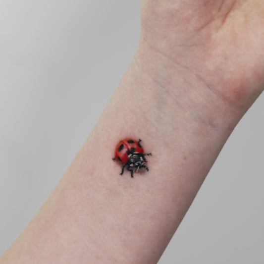 Ladybug