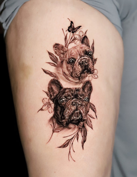 French Bulldogs