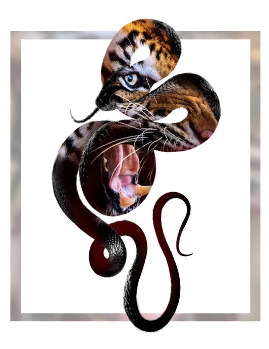 Tiger in snake
